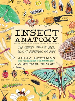 cover image of Insect Anatomy